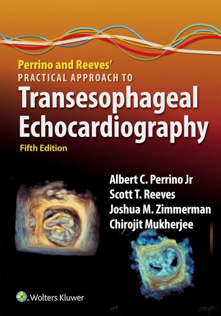 Perrino and Reeves' Practical Approach to Transesophageal Echocardiography: eBook without Multimedia 5th Edition