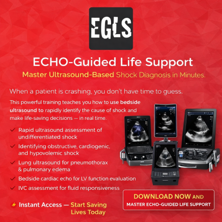 ECHO-Guided Life Support Using ultrasound to categorise shock and guide initial management