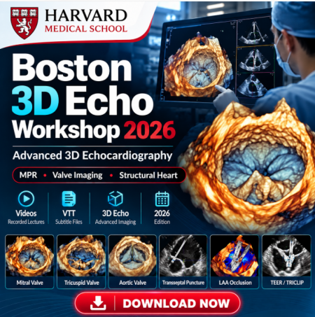 Harvard Boston 3D Echo Workshop 2026